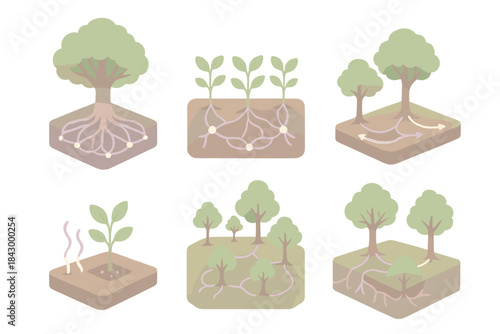Forest Intelligence Network. Isometric vector illustration set of forest intelligence: mother tree hub with glowing network,
