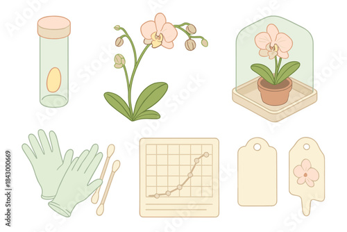 Orchid Pollination Techniques. Isometric vector illustration set Rare orchid pollination techniques: orchid pollen storage vial,