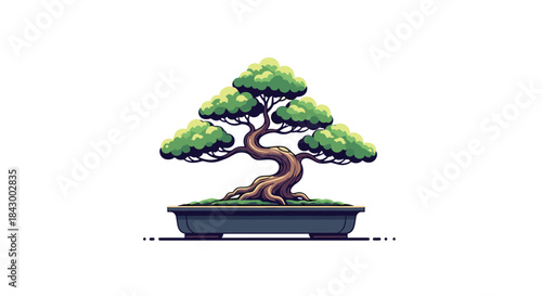 Gracefully pruned bonsai tree with a twisted trunk and lush green foliage sits in a shallow ceramic pot on display in a quiet studio setting.