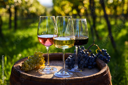 Close up of three glasses of red, white, and rosé wine on an old wooden barrel with grapes in a vineyard 