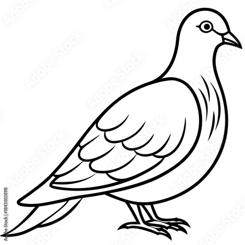 Elegant Dove Linear Vector Design White Background