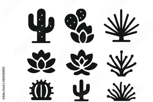 Geometric Desert Plants. Solid style icons of geometric desert plant motifs: grid-aligned cacti, axis-based succulents, coordinate