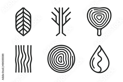 Duplicated Sap Channels. Line style icons of duplicated sap channels in carvings: repeating veins, mirrored flow, engraved stem,