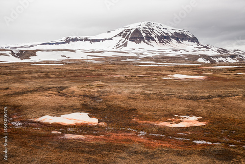 snow coverd landscape in iceland in june
