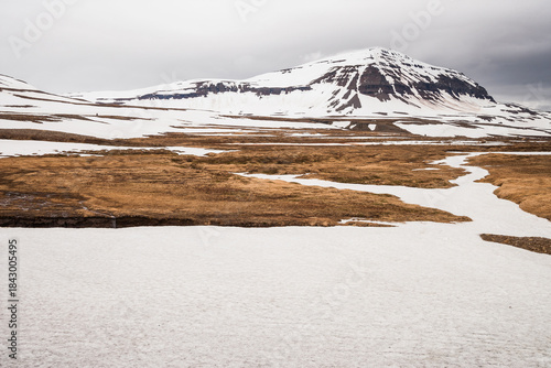 snow coverd landscape in iceland in june