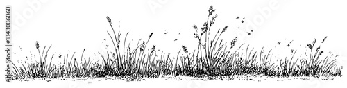 Sketchy hand drawn wild grass field meadow