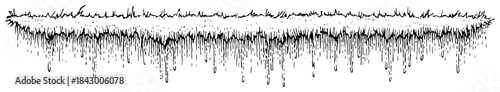 Underground soil cross section with grass and roots