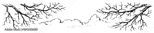 Bare tree branches with clouds hand drawn sketch