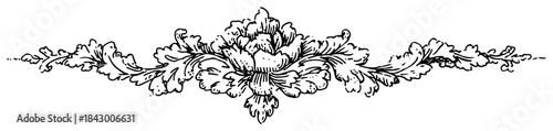 Ornate baroque floral ornament ink line art