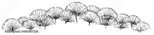 Hand drawn folding fan border line art