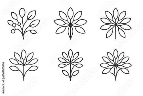 Harmonic Floral Icons. Line style icons of harmonic floral hub: organic network, fine petals, radiant structure, gentle stems,