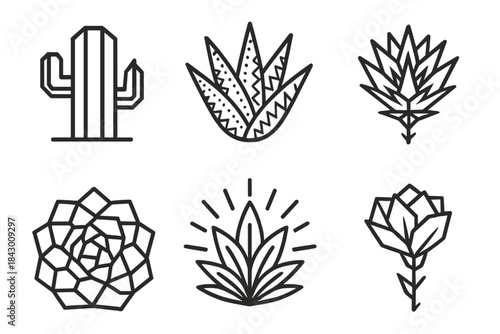 Geometric Succulent Icons. Line style icons of bright succulent geometry: geometric cactus, patterned aloe, angular thorn bloom,