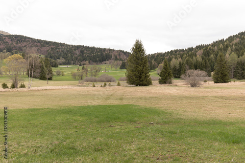 A photo of Ecchen Peat Bog Biotope