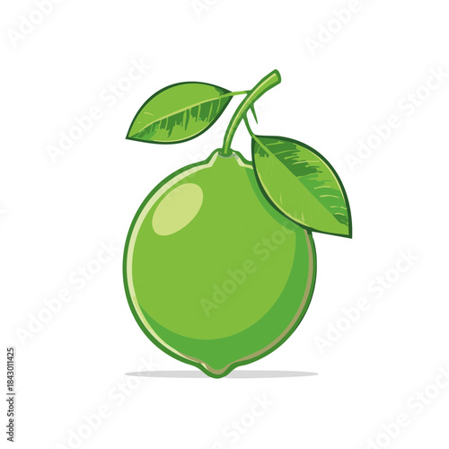 Vibrant Green Lime Citrus Fruit with Leaves Fresh Single Tropical Food Illustration Still Life Healthy Eating Vegetarian
