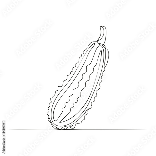 Contour Drawing of Bitter Melon Fruit Vegetable Slice Showing Interior Outline Single Line Art Style Detailed Illustration