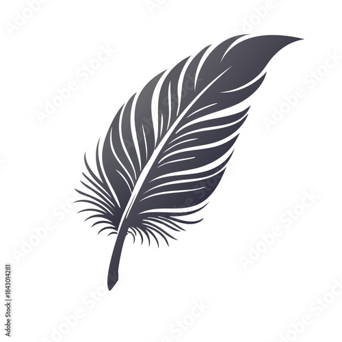 Elegant Feather Illustration with Detailed Plumes for Creative Designs and Arts