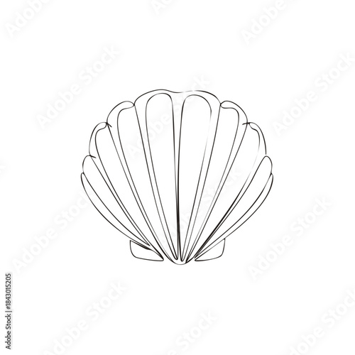 Minimalist Seashell Line Art Illustration Marine Life Clam Shell Outline Drawing
