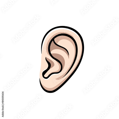 Ear Illustration Detailed Medical Anatomy Hearing Organ Human Body Part Cartoony
