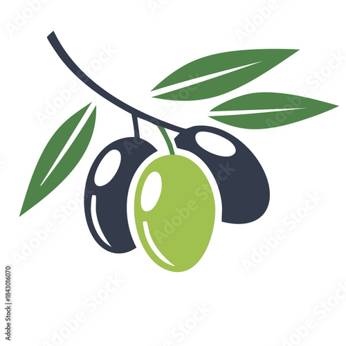 Stylized olive branch with green and black olives, minimal design, vector illustration