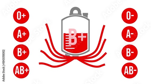Blood Type B+ Compatibility Flow Animation.