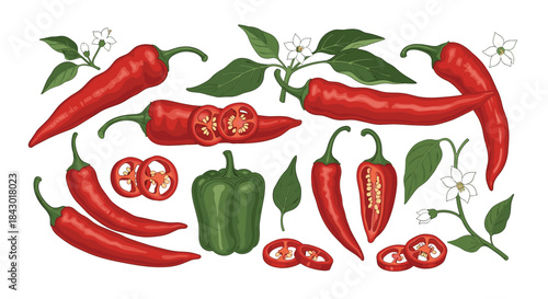 Colorful assortment of red chili peppers green bell pepper and plant blossoms arranged on a white background showcasing vibrant produce for culinary inspiration.