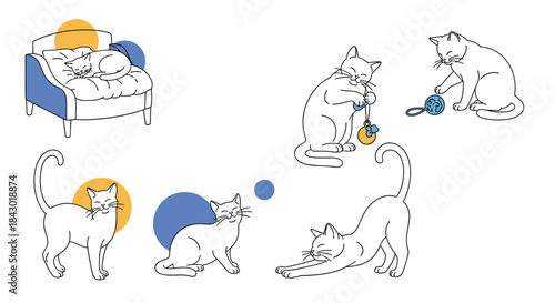 Cozy scene shows several cats playing with toys and lounging around in a bright room with a modern bed and soft cushions.