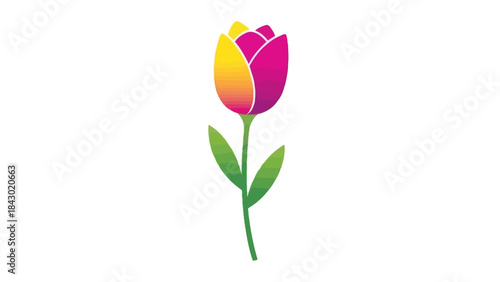 Minimalist vector of one tulip stem, vibrant spring colors 