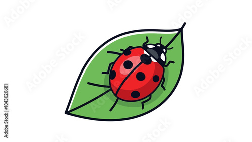 Single ladybug sitting on a green leaf