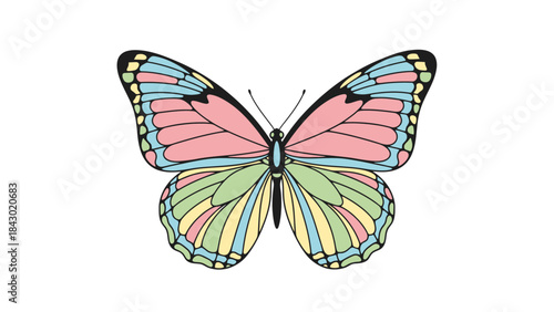 Single butterfly vector, spring-themed