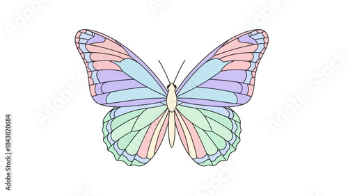 Single butterfly vector, spring-themed