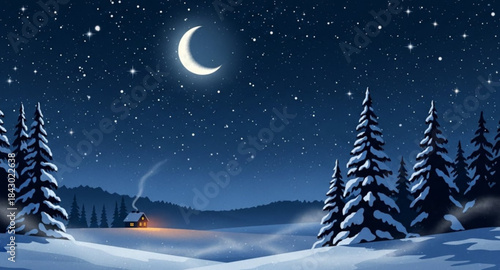 winter night landscape