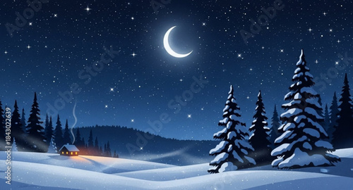 winter night landscape