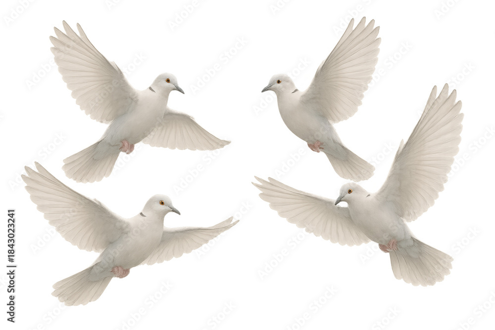 Fototapeta premium White doves flying, representing peace, freedom, spirituality, hope, and new beginnings on a transparent background