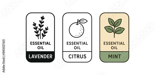 Flat vector illustration essential oil bottle labels lavender citrus and mint soft rounded rectangles clean outline one black and white flat version one outline version one color version