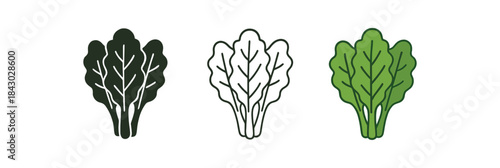 healthy lifestyle icons one flat solid monochrome one thin black outline black and white one full color flat icon leafy greens bunch