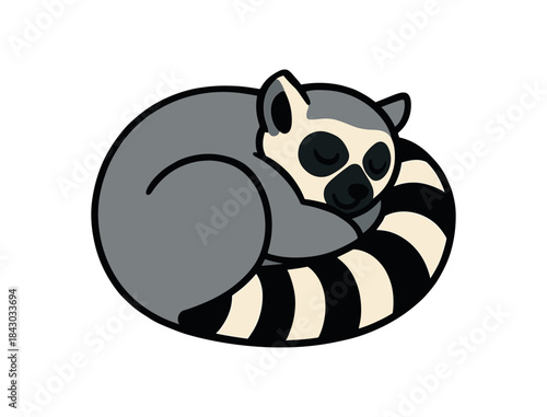 Flat vector illustration of bright ringtailed lemur curled up sleeping fluffy ball with tail wrapped rounded shapes clean outline clean white background