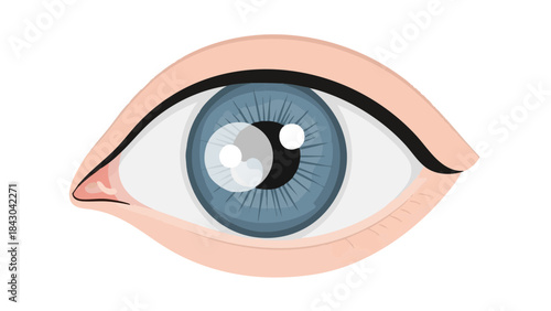 Realistic blue eye illustration with detailed iris and eyelid  