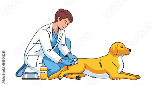 Veterinarian cleaning wound on dog in medical setting – Concept of Medicine  