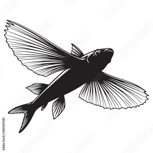 Illustration of a black silhouette of a flying fish soaring through the air