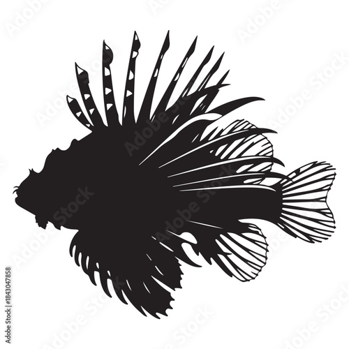 Silhouette of a lionfish, a venomous marine fish with distinctive fins
