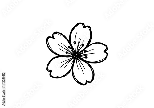 Cherry Blossom hand drawn simple sketch vector illustration