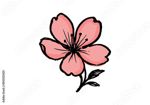 Cherry Blossom hand drawn simple sketch vector illustration