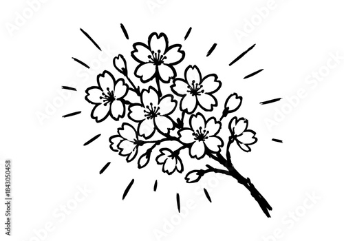 Cherry Blossom hand drawn simple sketch vector illustration