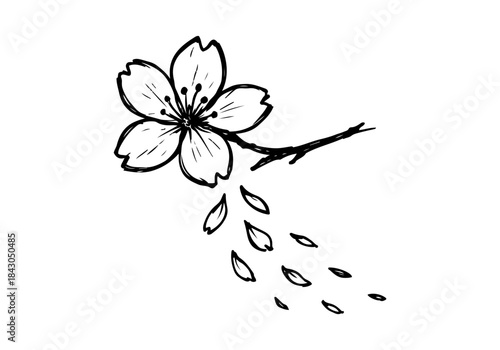 Cherry Blossom hand drawn simple sketch vector illustration