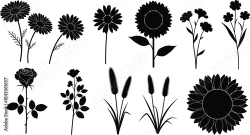 Beautiful flower silhouette collection including daisy, rose, sunflower, wildflowers, botanical plants for nature design, decorative floral vector illustration set