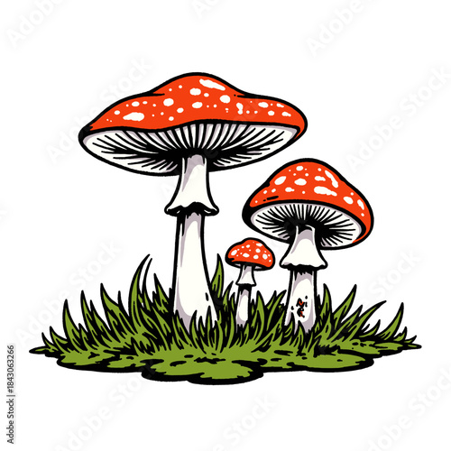 Amanita muscaria illustration, fly agaric mushrooms in grass, vintage cartoon toadstools, red cap fungi drawing, forest nature element, graphic design asset