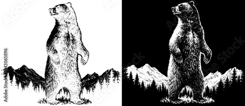 Vintage Standing Bear Landscape Engraving, Inverted Black White Xerography Vector on Transparent Background for Laser Engraving on Dark Surface