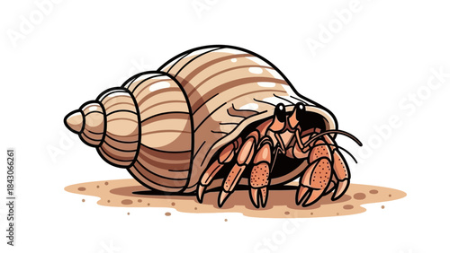 An illustration of a hermit crab peeking out from its spiral shell on a sandy surface.