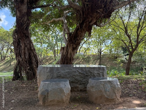 Stone Table Set: Rough hewn grey rock table and chairs integrated into a jungle park landscape