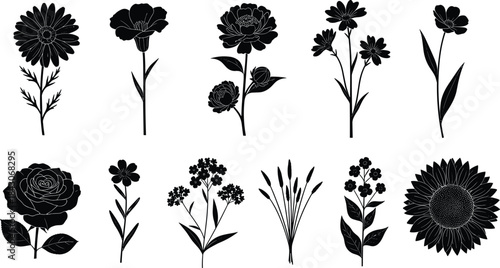 Elegant Black and White Flower Silhouettes, Assorted Botanical Elements, Including Rose, Daisy, and Sunflower, Vector Illustration Set, Isolated on White.